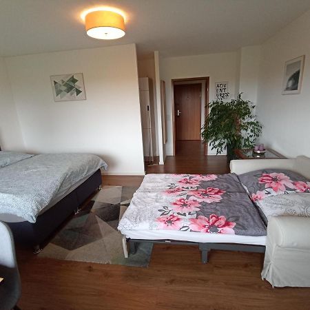 Neuhofen Exklusives Apartment Zw. Lu Und Speyer Mit Aufzug מראה חיצוני תמונה