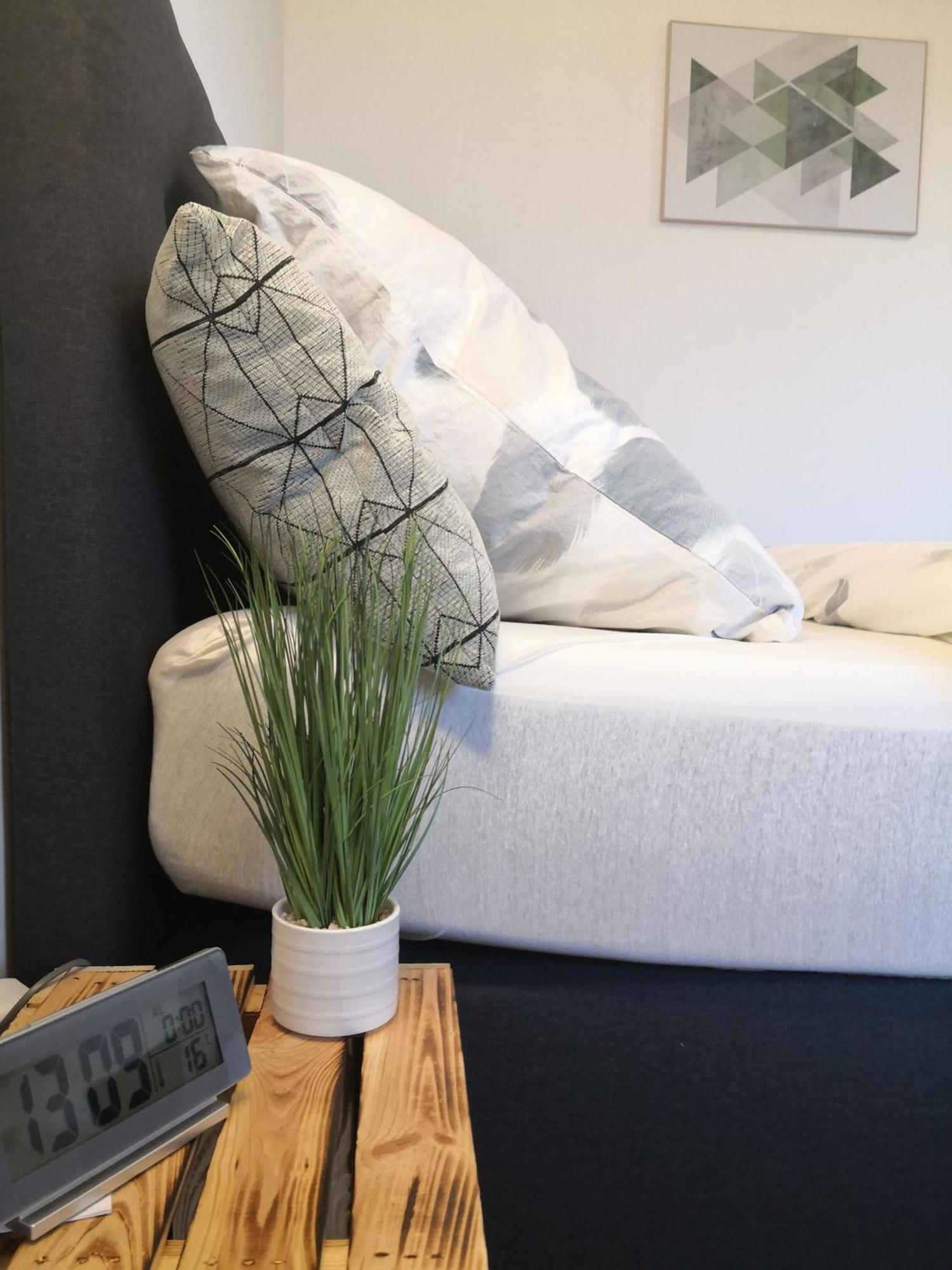 Neuhofen Exklusives Apartment Zw. Lu Und Speyer Mit Aufzug מראה חיצוני תמונה